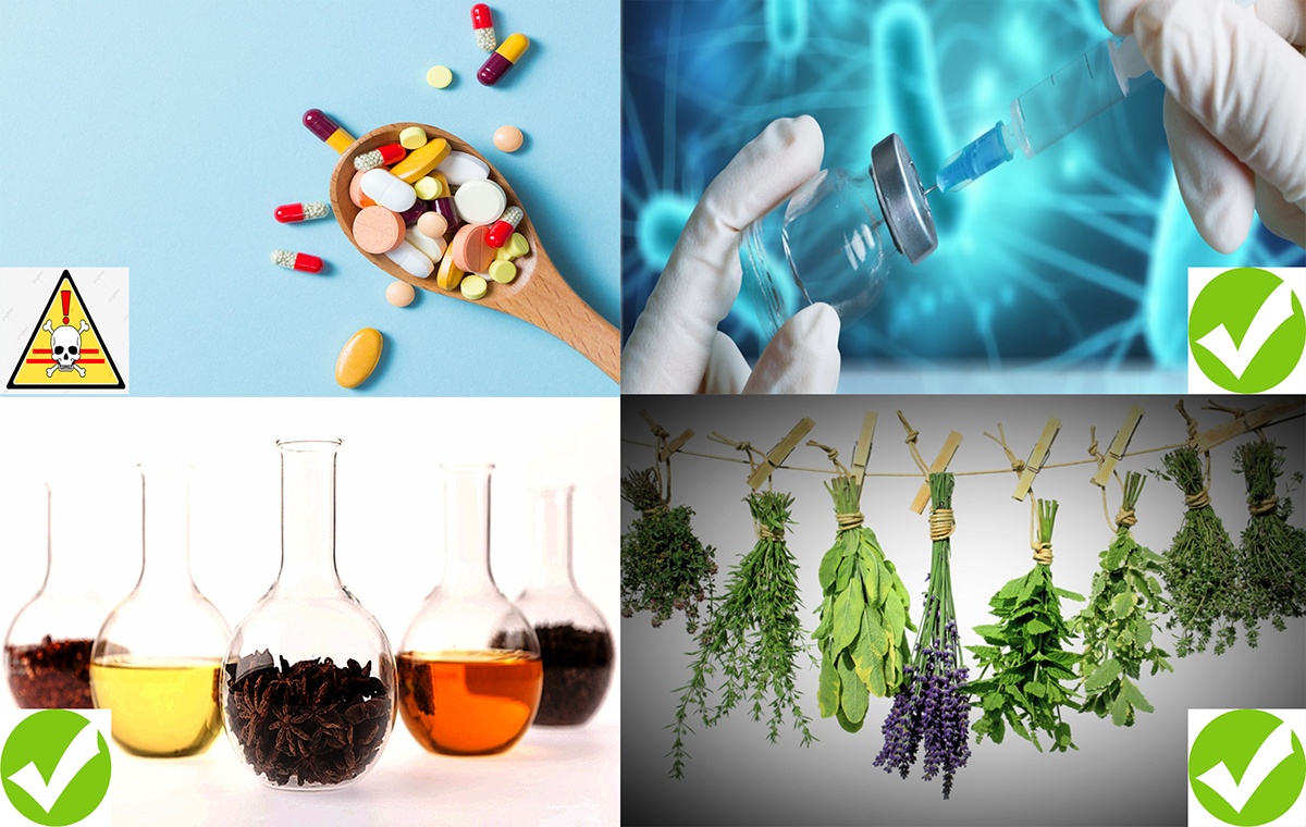 Những chất thay thế kháng sinh trong thủy sản
