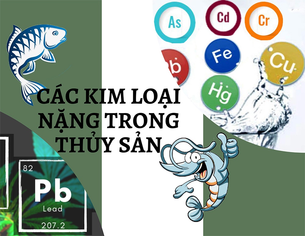kim loại nặng trong thủy sản