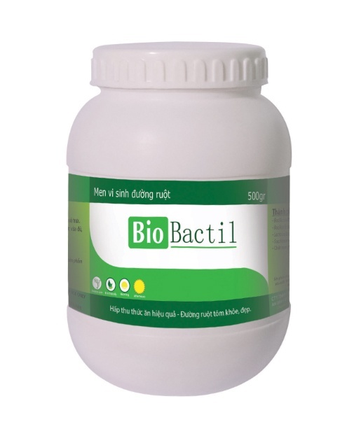 Intestinal microbiology